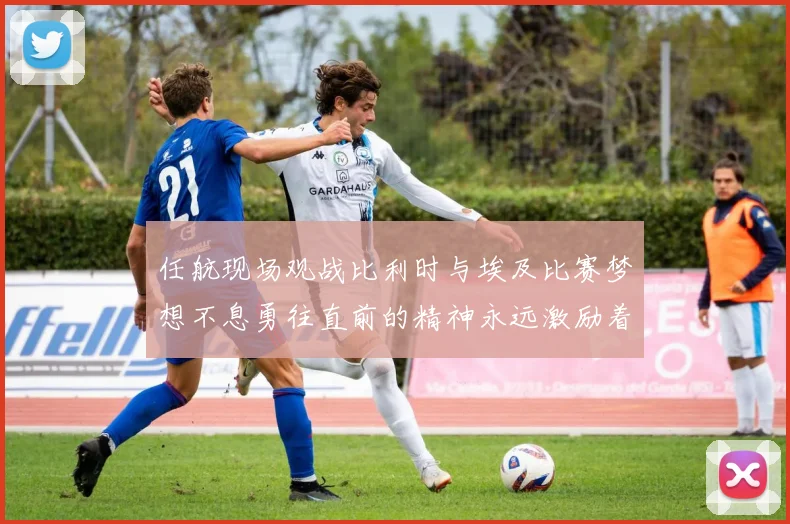 任航现场观战比利时与埃及比赛梦想不息勇往直前的精神永远激励着我们