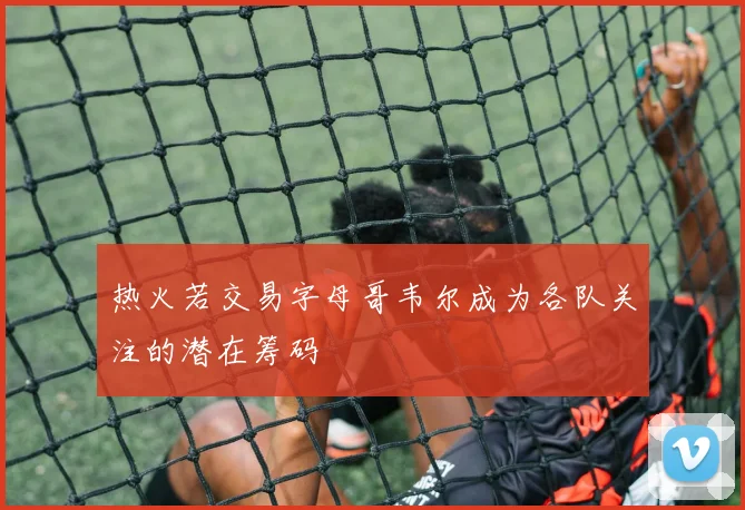 热火若交易字母哥韦尔成为各队关注的潜在筹码